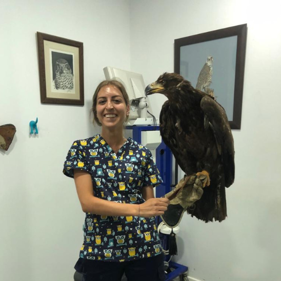 Veterinaria atendiendo en consulta