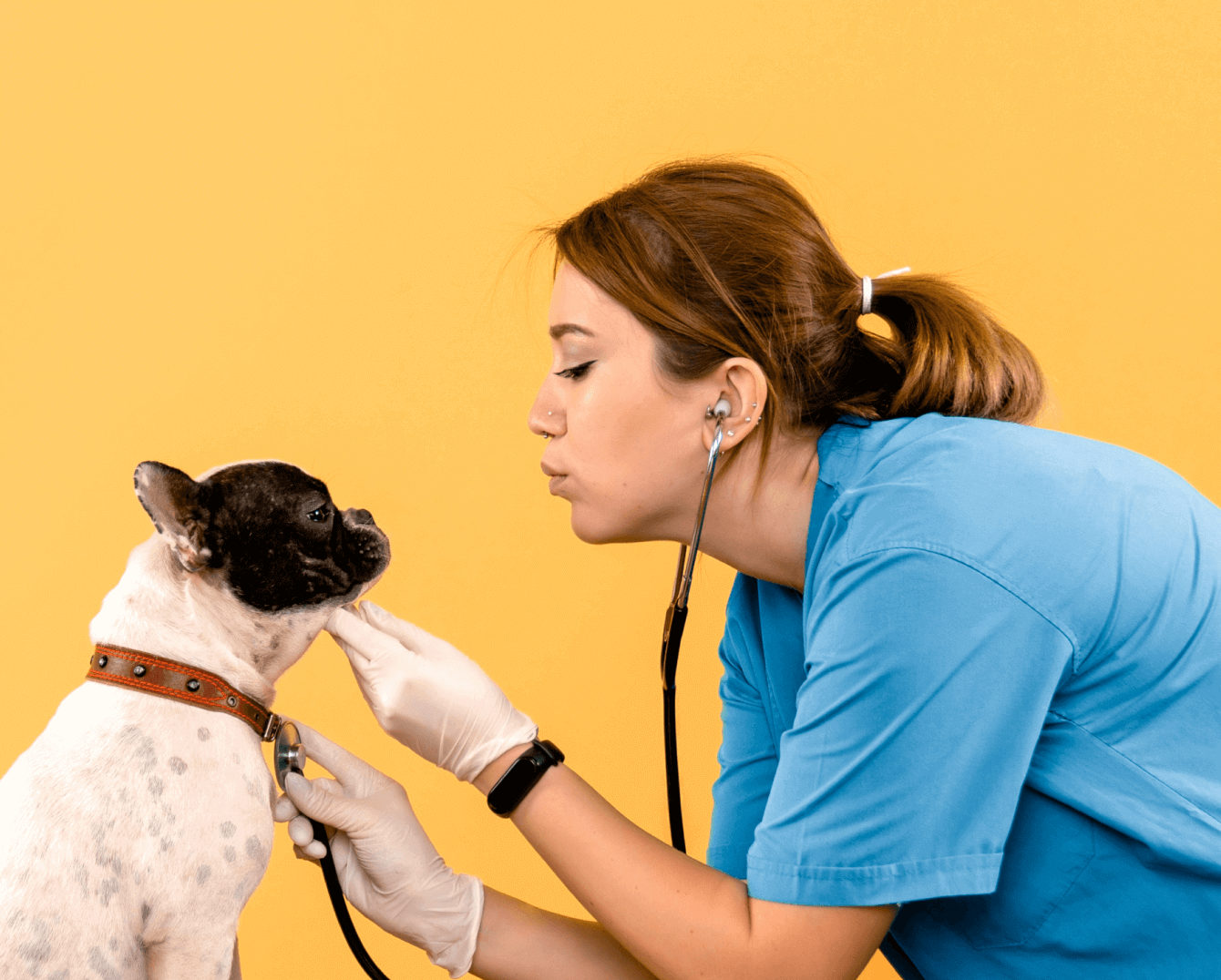 Veterinaria atendiendo con cariño a un bulldog francés