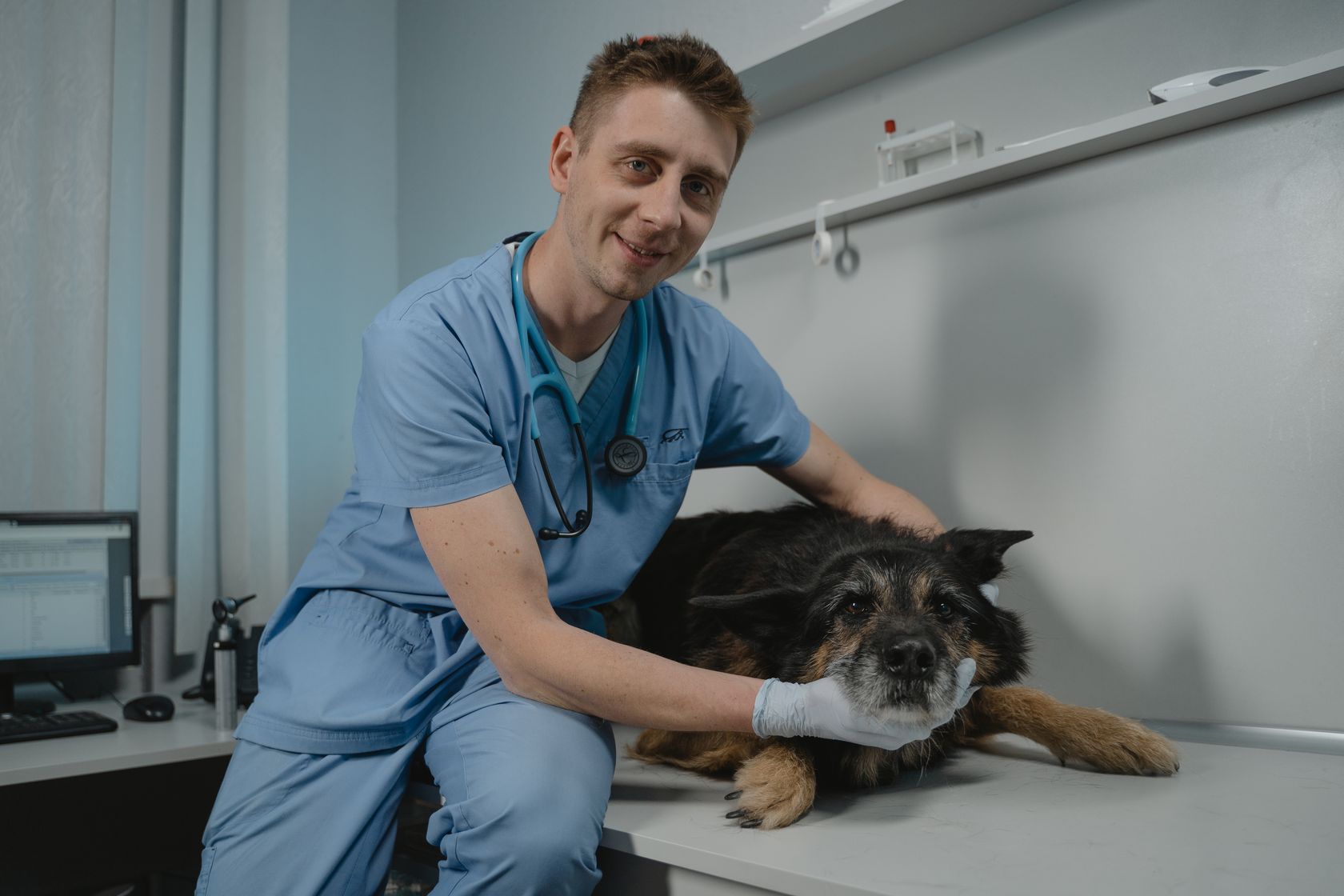 Veterinario atendiendo con cariño a un perro senior en la clínica PetEco de Galapagar