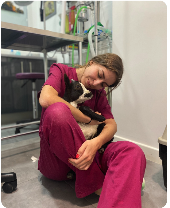 Veterinaria de PetEco abrazando a un gato en la clínica